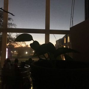 Meet your Posher, Kaya